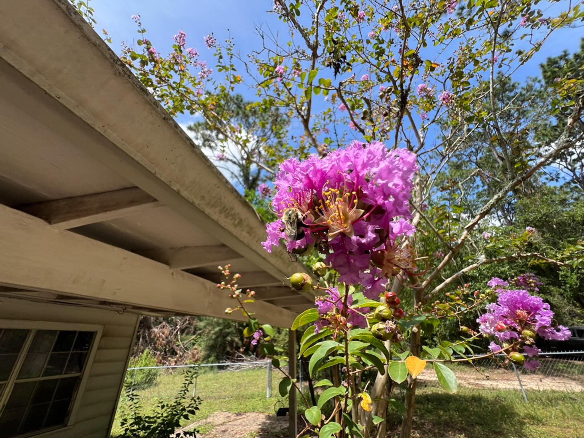 SMITH S/D - Residential