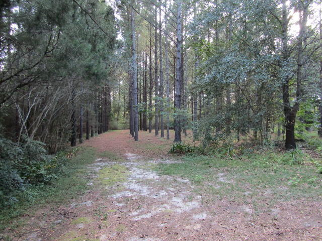 NO RECORDED PROJECT - Residential