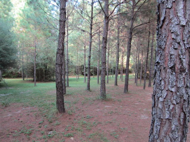 NO RECORDED PROJECT - Residential