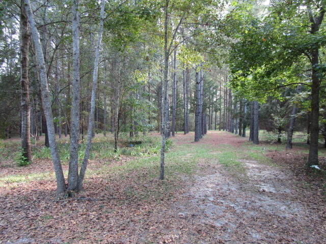 NO RECORDED PROJECT - Residential