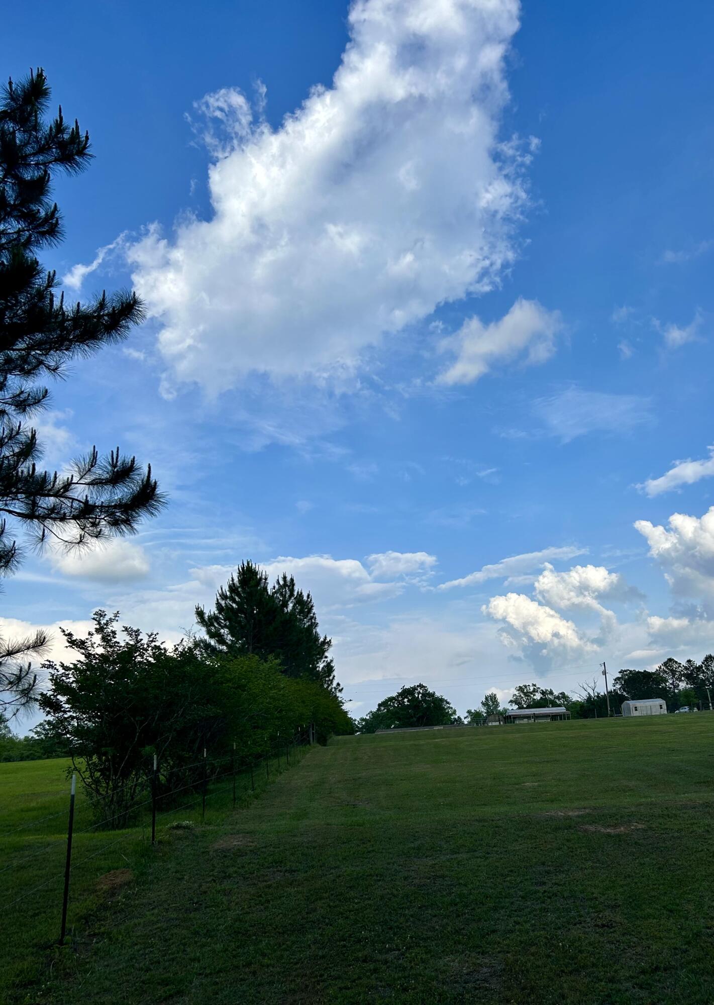 NO RECORDED SUBDIVISION - Farm