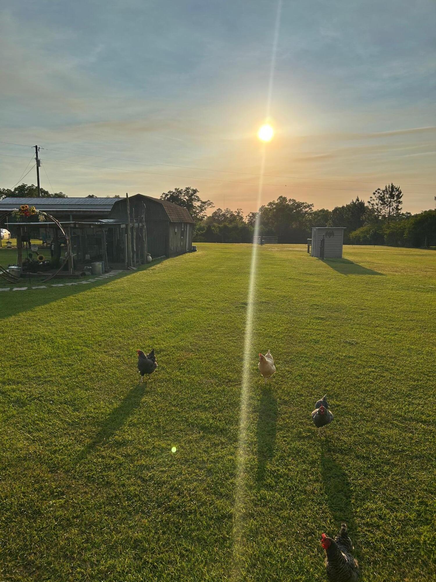 NO RECORDED SUBDIVISION - Farm
