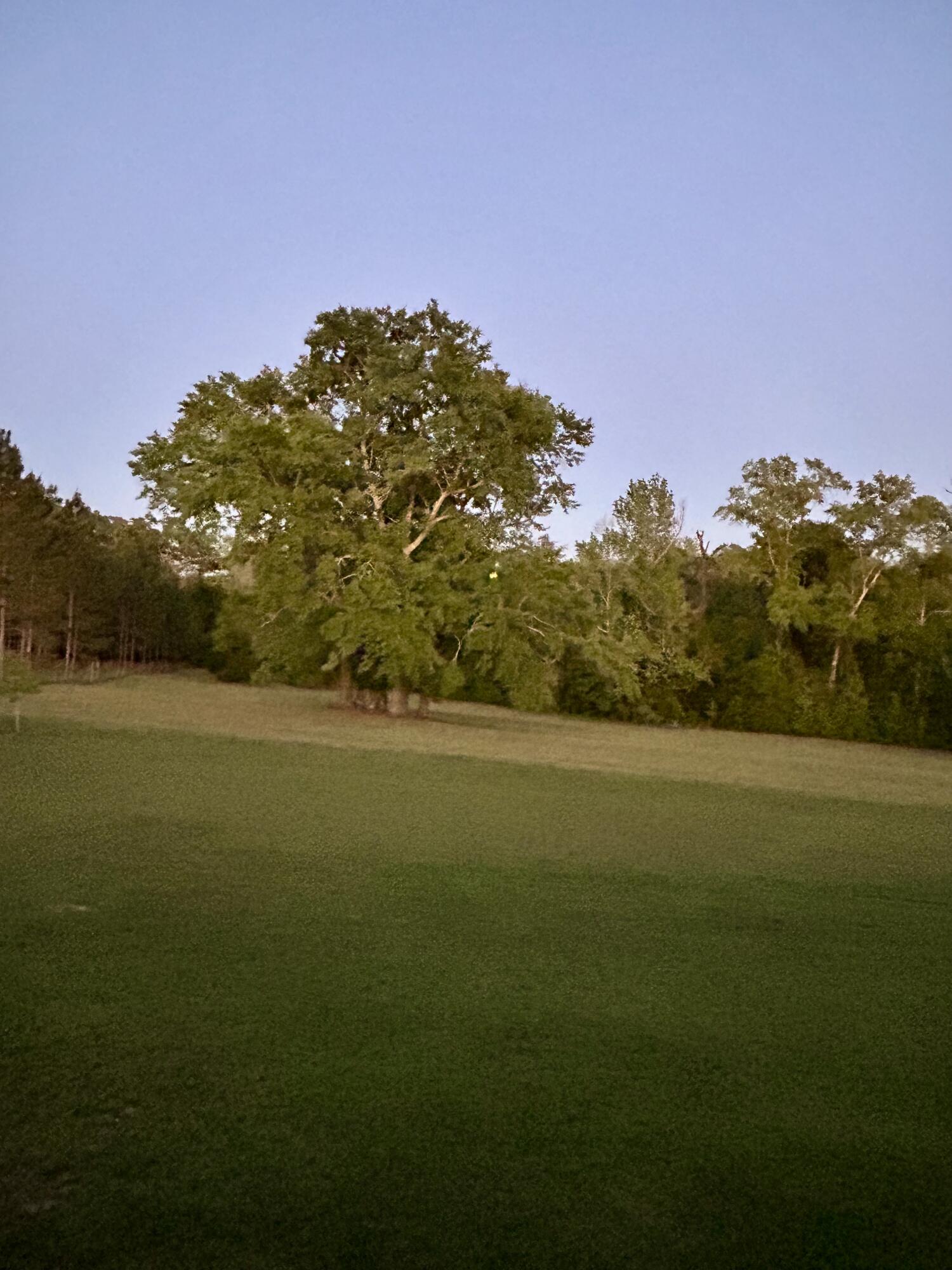 NO RECORDED SUBDIVISION - Farm