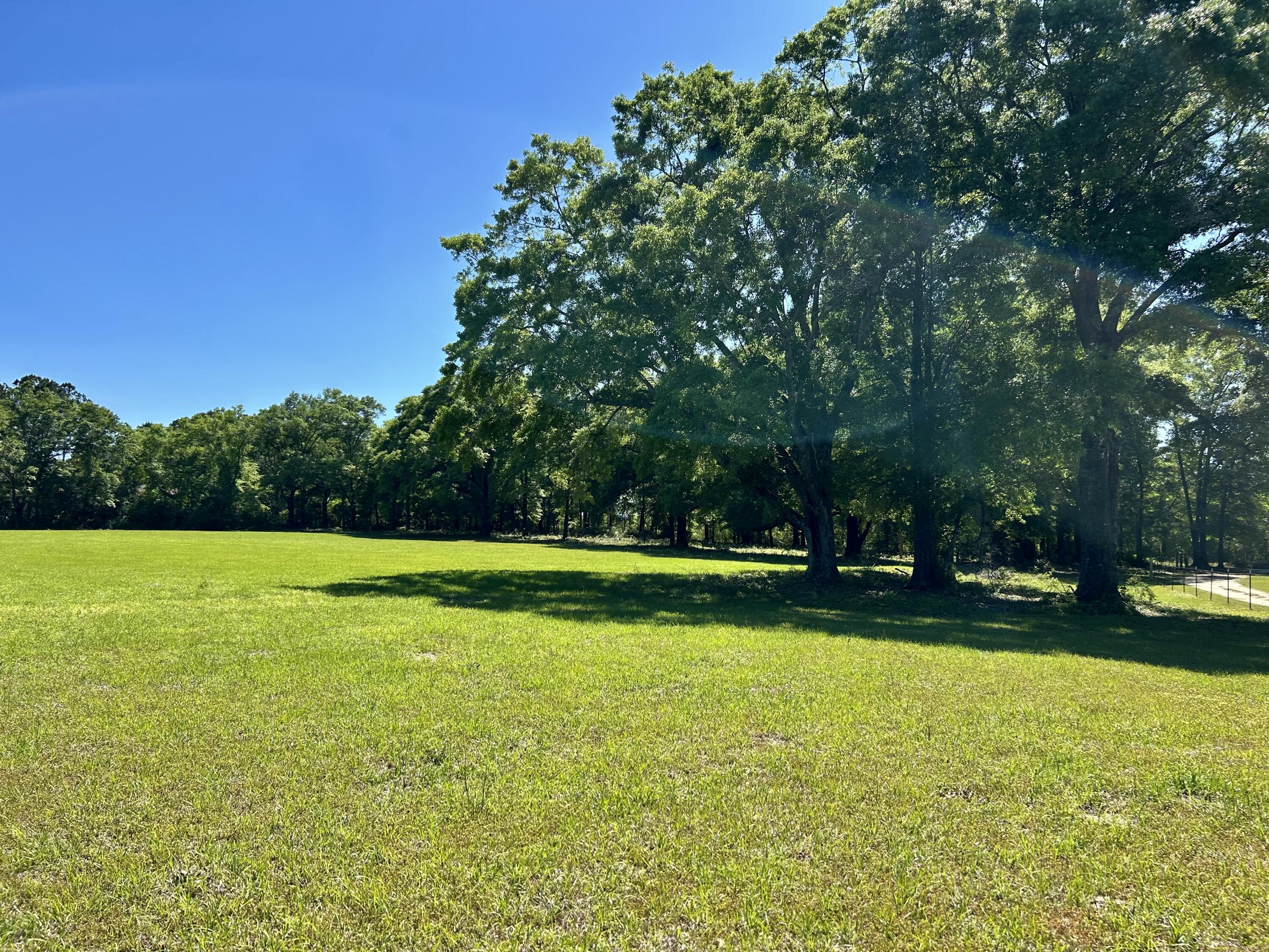 NO RECORDED SUBDIVISION - Farm