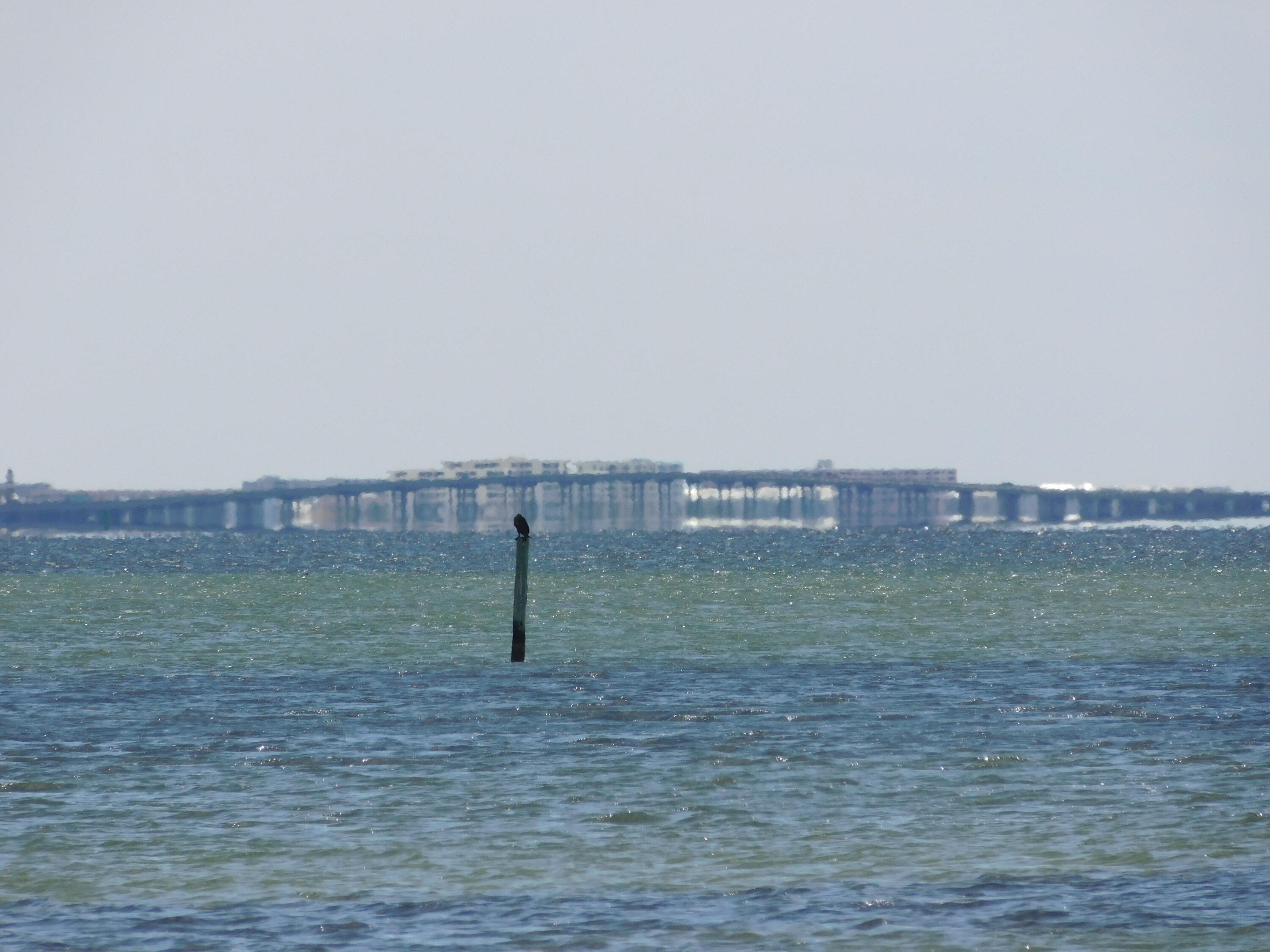 FINISTERRA CONDO - Residential