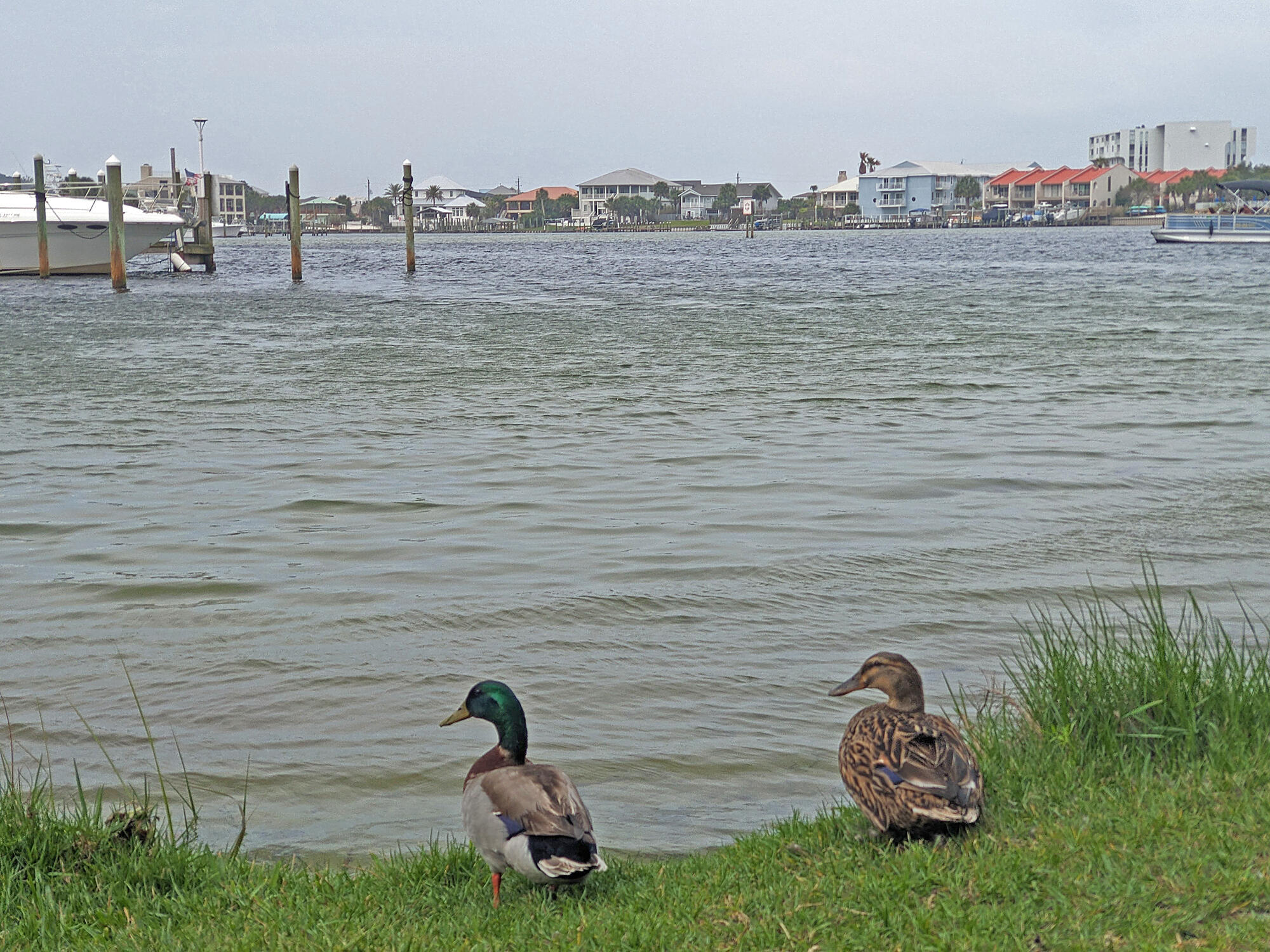 SANDPIPER COVE PH 04 - Residential