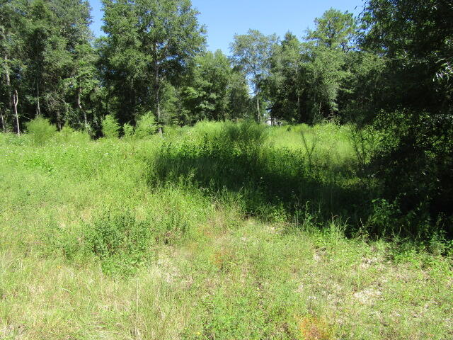 NORTH SUPERGROUP - Land