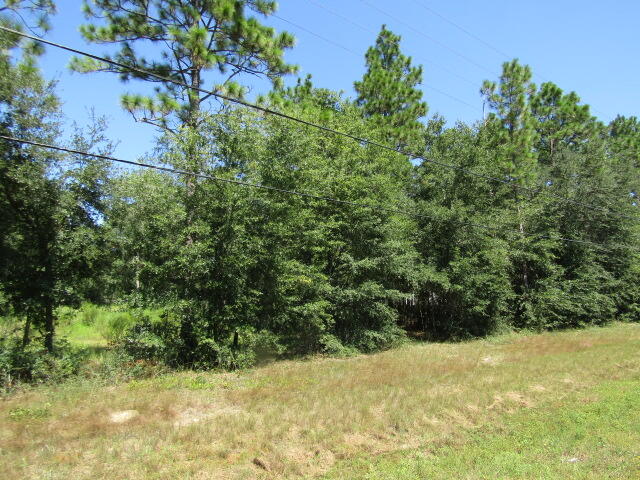 NORTH SUPERGROUP - Land