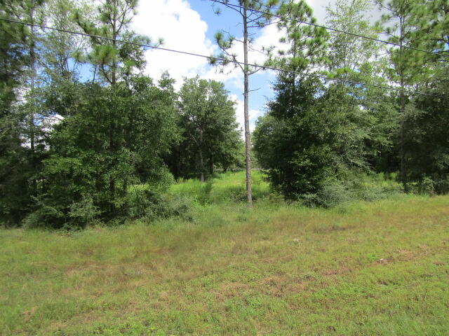 NORTH SUPERGROUP - Land