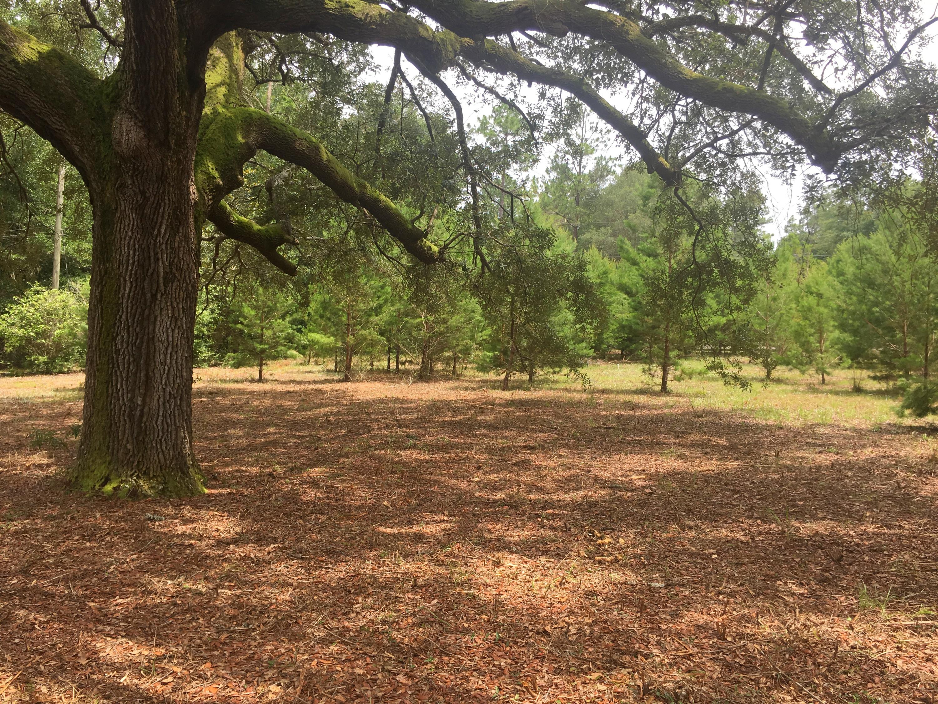 Evergreen Estates - Residential