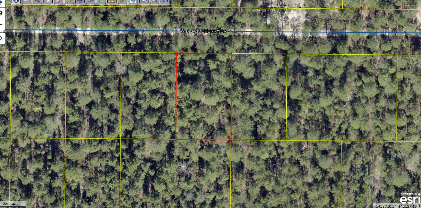 Looking for A Hidaway! No HOA. Minimal Restrictions. Beautifully wood lot approx .26 acres between DeFuniak Springs FL and Mossyhead. Modular homes allowed.There are no existing utilities. Well/Power/Septic required. Power is nearby. Property is Flood Zone X. Per the Walton GIS mapping, the property does not appear to have wetlands. Easy access to the I-10 & CR 285 south making it a great location for work no matter what direction you need to go! You will be approx. 30-45 mins to most workplaces as well as the beautiful white sandy beaches of Florida famous Emerald Gulf Coast and Crab Island. Buyer needs to verify building codes, zoning regulations, wetlands and flood zones, etc with proper local authorities to ensure buyer will be able to utilize the property or intended use. More photos coming!

Information contained within this listing is deemed to be accurate but is not guaranteed.

All dimensions shown are approximately only per CRS Property Data Report. A Survey must be completed to confirm property lines and dimensions.