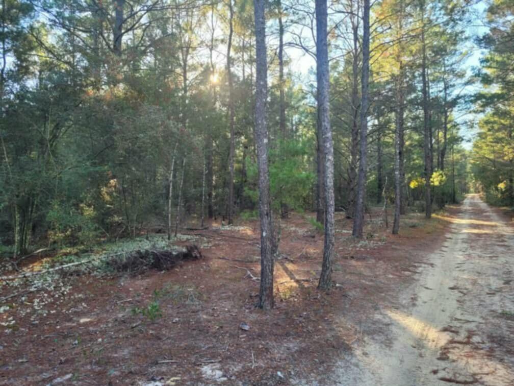 Looking for A Hidaway! No HOA. Minimal Restrictions. Beautifully wood lot approx .26 acres between DeFuniak Springs FL and Mossyhead. Modular homes allowed.There are no existing utilities. Well/Power/Septic required. Power is nearby. Property is Flood Zone X. Per the Walton GIS mapping, the property does not appear to have wetlands. Easy access to the I-10 & CR 285 south making it a great location for work no matter what direction you need to go! You will be approx. 30-45 mins to most workplaces as well as the beautiful white sandy beaches of Florida famous Emerald Gulf Coast and Crab Island. Buyer needs to verify building codes, zoning regulations, wetlands and flood zones, etc with proper local authorities to ensure buyer will be able to utilize the property or intended use. More photos coming!

Information contained within this listing is deemed to be accurate but is not guaranteed.

All dimensions shown are approximately only per CRS Property Data Report. A Survey must be completed to confirm property lines and dimensions.