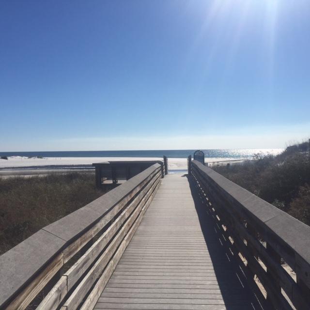 Great lot in Seagrove south of 30A and a very short walk to the beach.