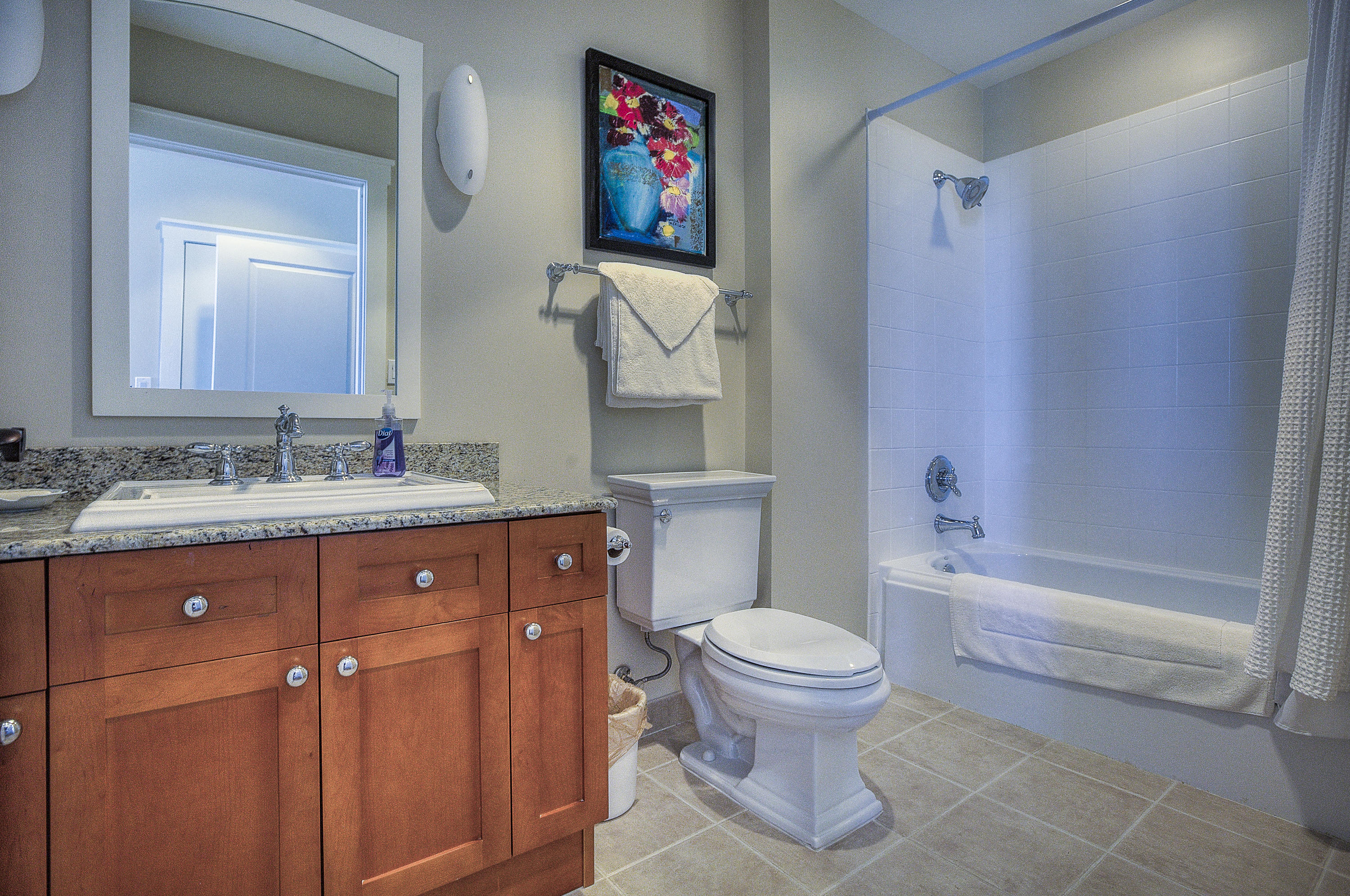 WATERSOUND BEACH, THE CROSSINGS - Residential