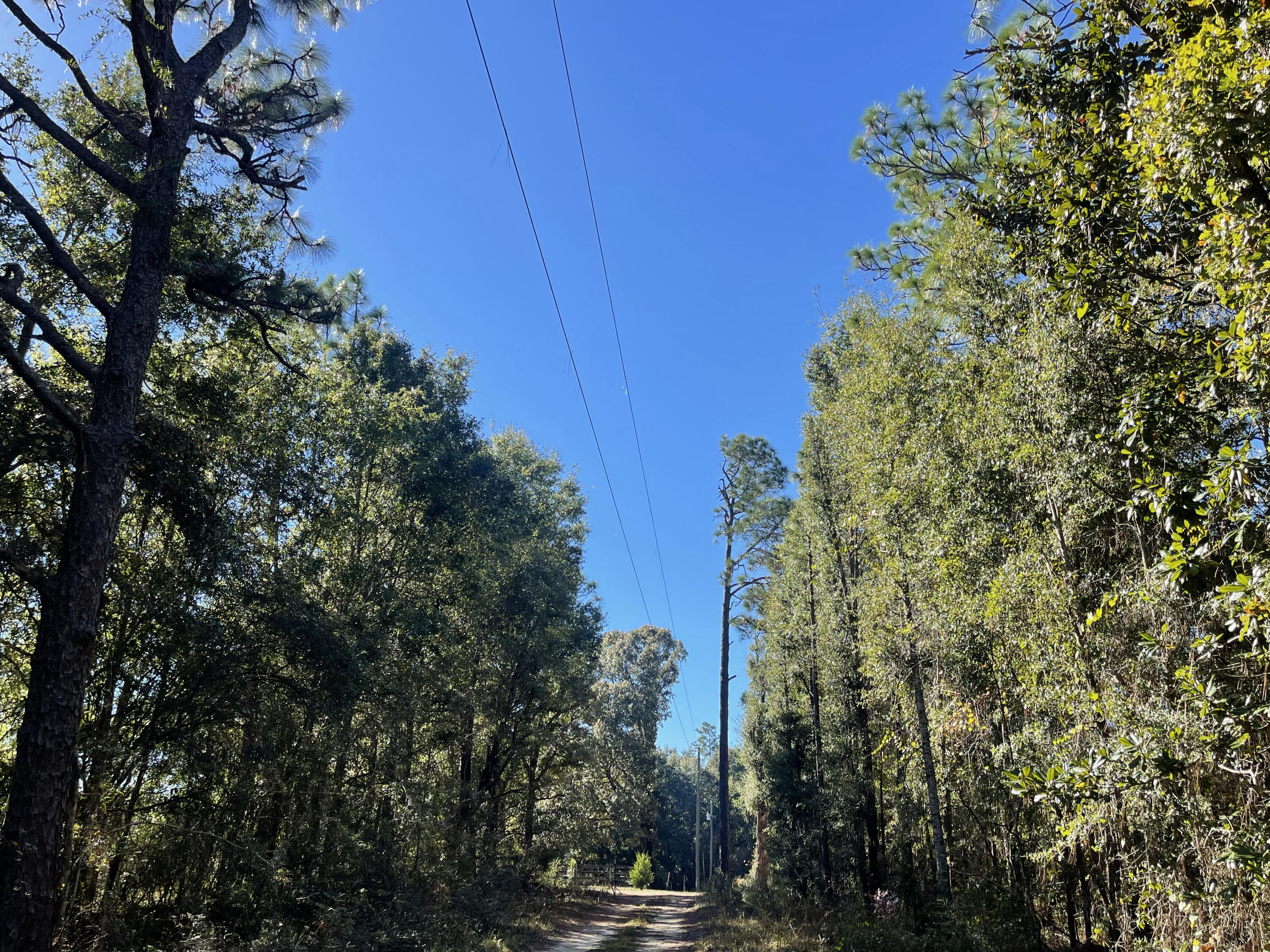 METES & BOUNDS - Land