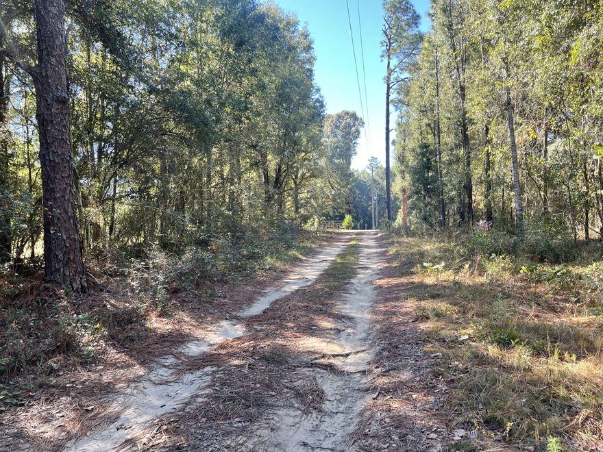 Welcome to the country! Bring your RV, 4 wheelers, horses, etc. Come build your dream home on this flat piece of property. No flood zone and survey is available. VERY short dirt road to property and you don't need 4WD vehichle. Don't miss out on this beautiful, secluded property!