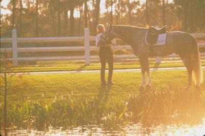 KELLY PLANTATION S/D - Land