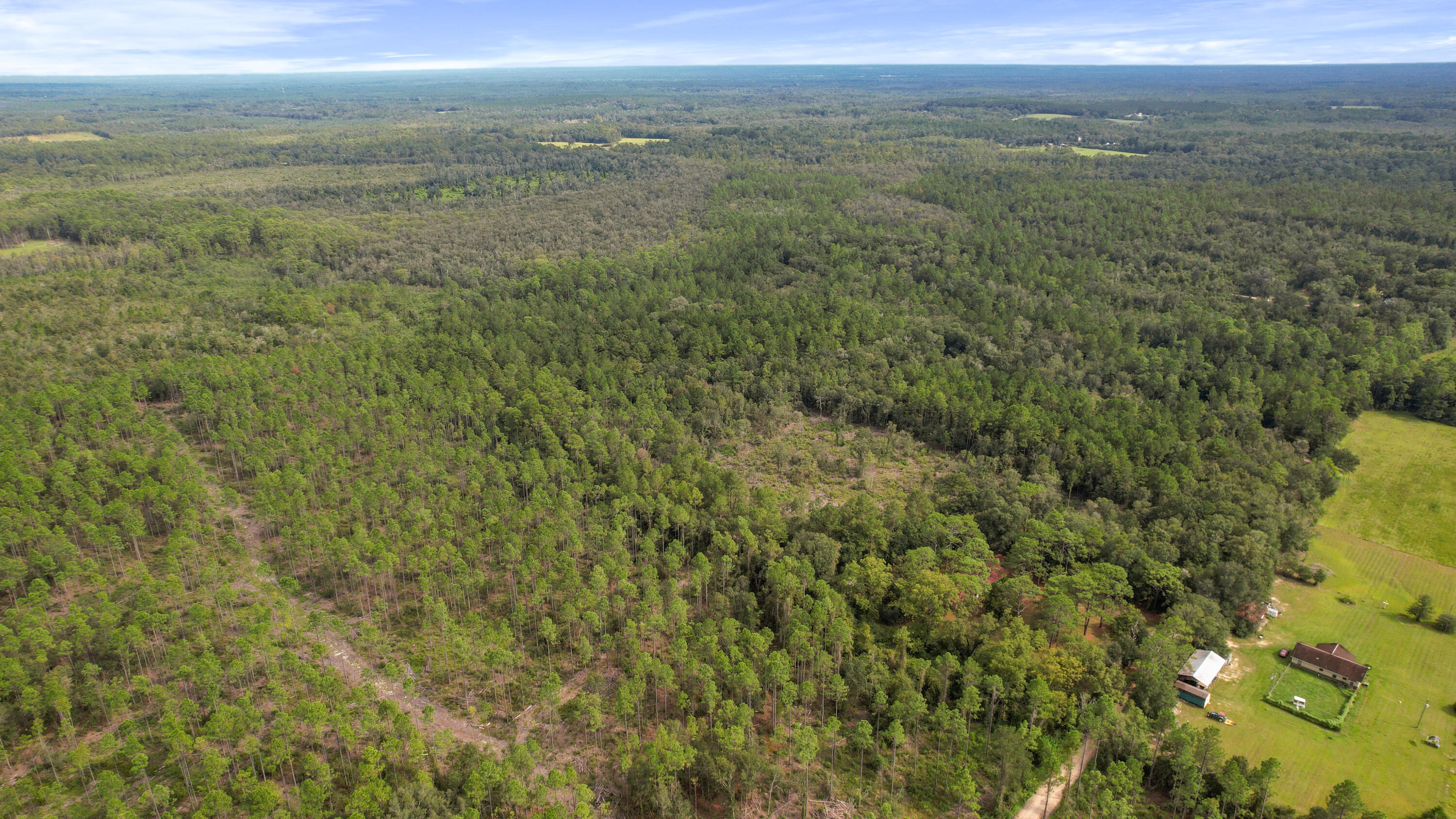Explore your very own 210 acres of pristine wilderness, a true hunter's paradise awaiting your adventure. With the potential for so much more, this expansive raw acreage is a hidden gem. Whether you're an avid hunter looking for your own private wilderness, a camping enthusiast seeking a secluded escape, or someone with a vision to build serene rural retreats, this offers endless possibilities. Two parcels are included in this remarkable offering. The first parcel, 00000000-00-5130-0000, boasts a unique blend as 1/3 of this parcel is designated as Agriculture Flood Zone X, allowing for the possibility of one home per every 10 acres. 2/3 is Conservation, ensuring its preservation and natural beauty. The second parcel is the reverse with 2/3 being buildable and 1/3 being conservation. On the second parcel, 00000000-00-5130-0002, you'll find a landscape that's equally captivating. Approx. 56% of this parcel is designated as Flood Zone X, with 2/3 of the land being available for agriculture, once again allowing for one home per every 10 acres.
The remaining 1/3 of this parcel is designated as Conservation Flood Zone A, providing a stunning natural habitat. A picturesque pond or water feature graces the southwest side of the property, adding to its charm.
Don't miss out on the chance to make this pristine acreage your very own. Contact us today to learn more and take the first step toward realizing your dreams in this natural paradise.