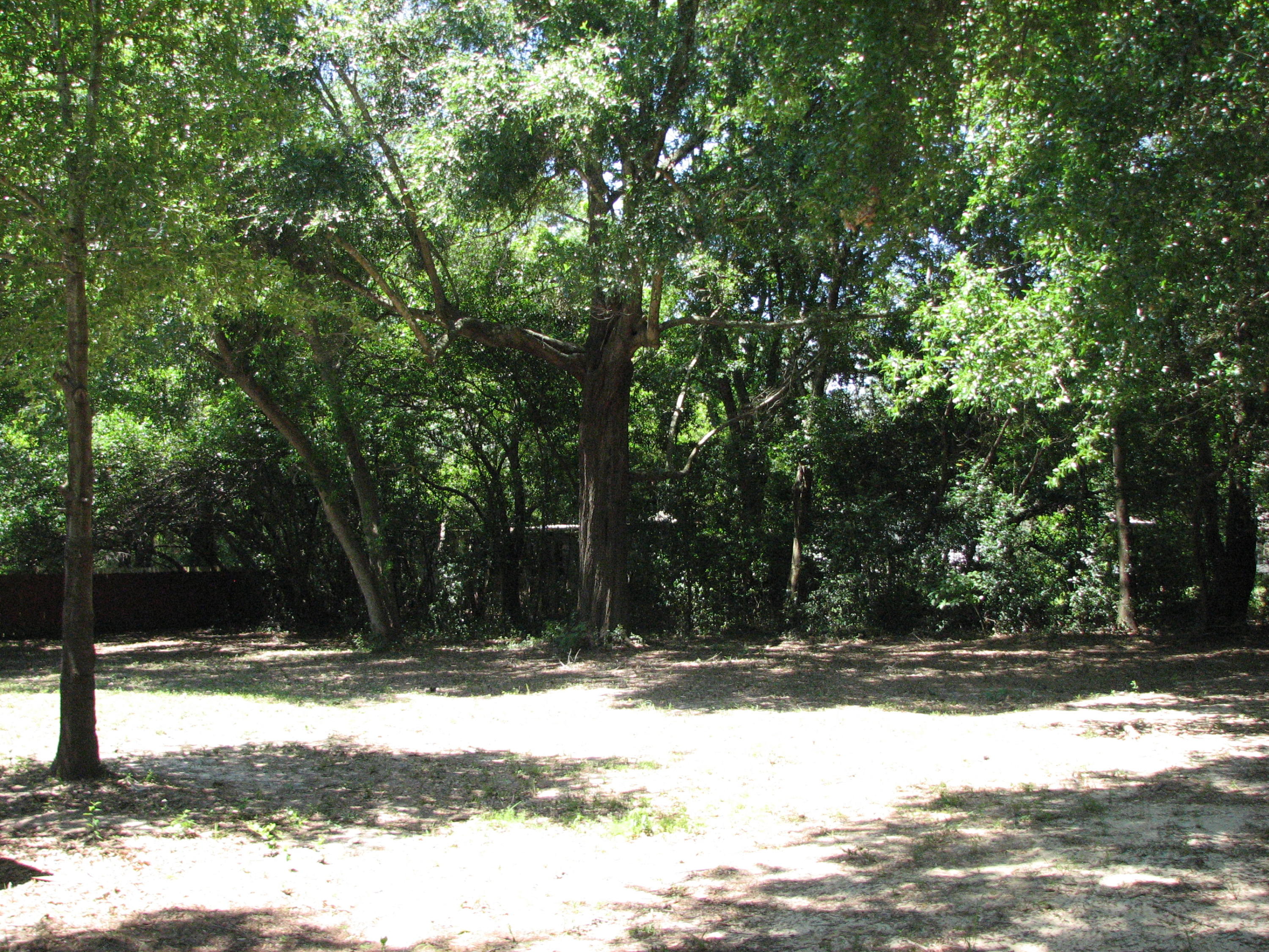 Oakdale Miniature Farms  LOT 12 & 13 BLK 6 - Residential