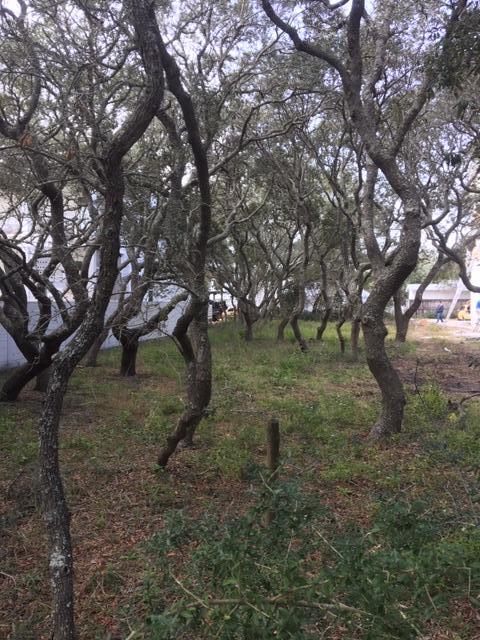 GRAYTON BEACH - Land