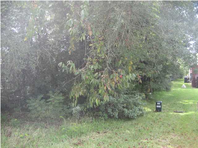 WOODLAND SHORES - Land