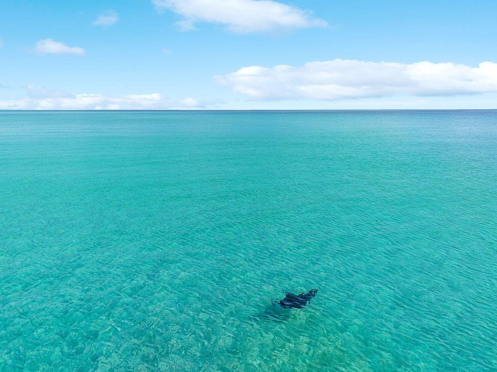 listing image 58