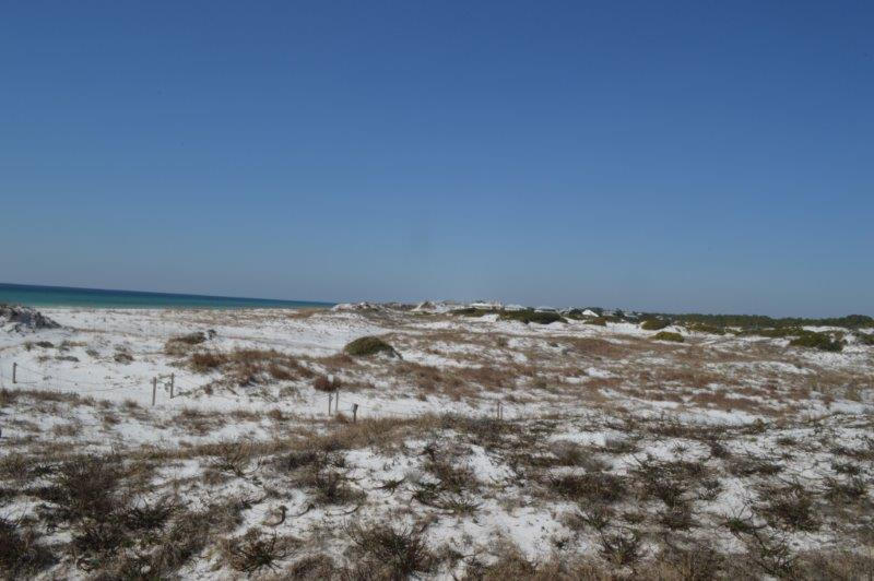 GRAYTON BEACH - Residential