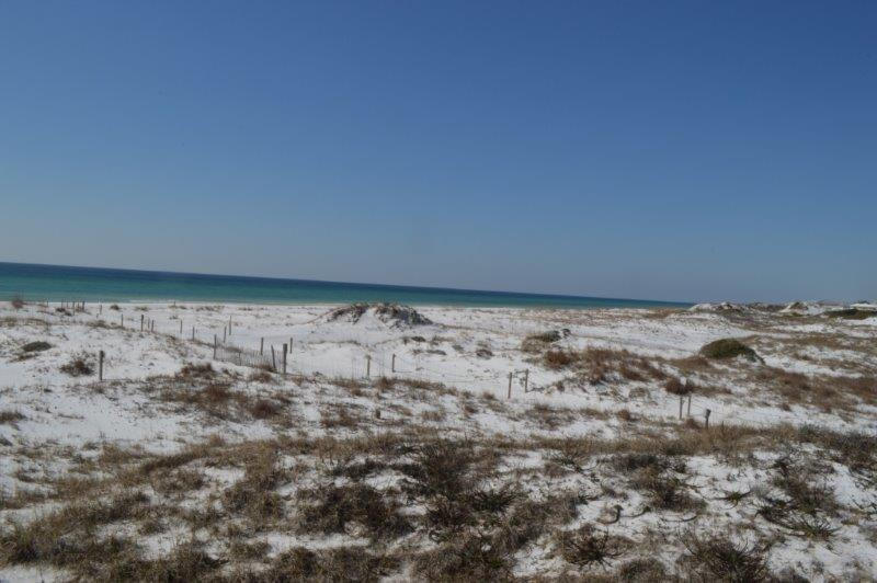 GRAYTON BEACH - Residential