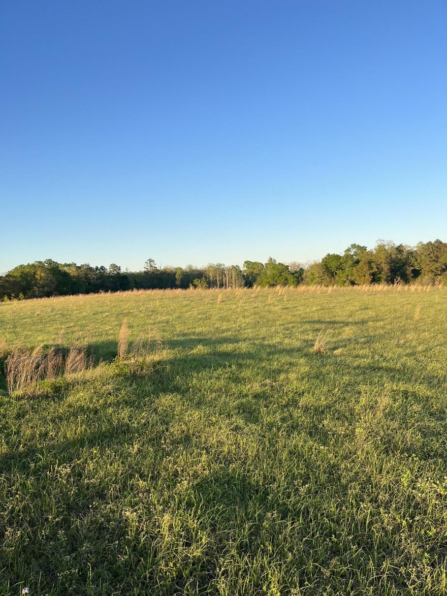 Stunning 40+ Acre Estate with Spectacular Homesite, Pond, 3 Fenced/Cross-Fenced Pastures, WildlifeEscape to your private paradise with rolling hills and over 40 acres of sprawling land with breathtaking views. This exceptional property offers the perfect blend of tranquility, natural beauty, and endless possibilities for your dream lifestyle.Key Features:Privacy, Seclusion, Scenic Beauty: Witness the majestic flight of eagles and the graceful presence of owls while enjoying peace, privacy, and panoramic views.Prime Location: Situated just 4/10 of a mile off Hwy 173, convenience meets serenity with easy access to amenities while enjoying peaceful seclusion.Abundant Space: With over 40 acres of mostly cleared land, this property offers ample room for your imagination to soar. The possibilities are endless, whether you envision a sprawling estate, agricultural endeavors, or recreational activities.
Cypress Pond: Delight in the diverse wildlife in their natural habitat.
Fenced & Cross-Fenced: The property is meticulously fenced and cross-fenced, ensuring security and convenience for managing livestock or creating distinct zones for various activities.
Well-Watered Pastures: A reliable well provides water to all three pastures, offering convenience and sustainability for agricultural pursuits or animal husbandry.
Ideal for Horses & Cattle: With ample space and lush pastures, this property is ideally suited for equestrian enthusiasts, cattle ranchers, or anyone seeking a pastoral lifestyle.
Don't miss this rare opportunity to own your slice of paradise. Whether you dream of a serene homestead, a working ranch, or a weekend getaway, this remarkable property offers the canvas to paint your dreams. Call today to schedule a viewing and discover the endless possibilities awaiting you!
All information is believed to be accurate but should be verified.
