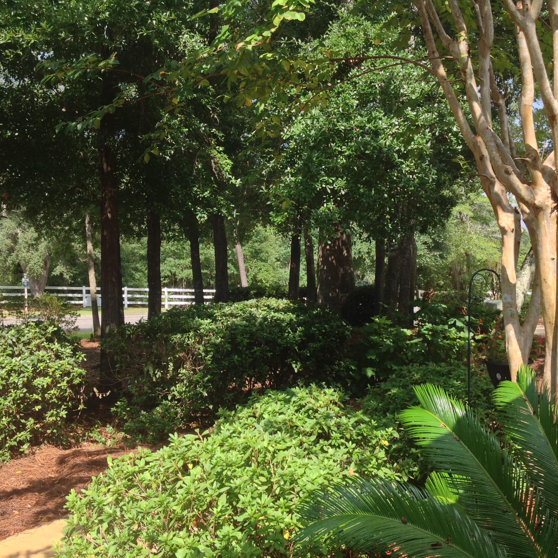 SWIFT CREEK PH 1 - Residential