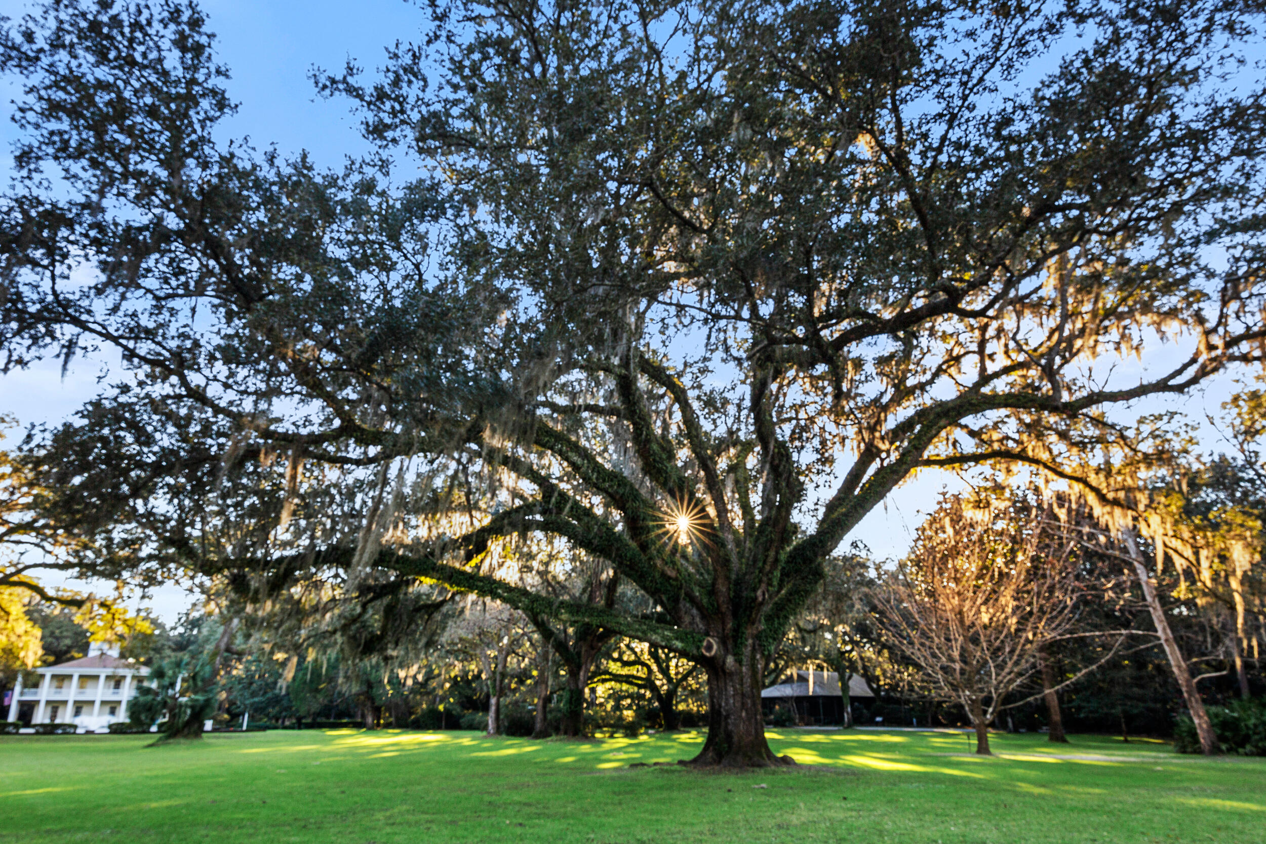 EDEN'S LANDING - Residential