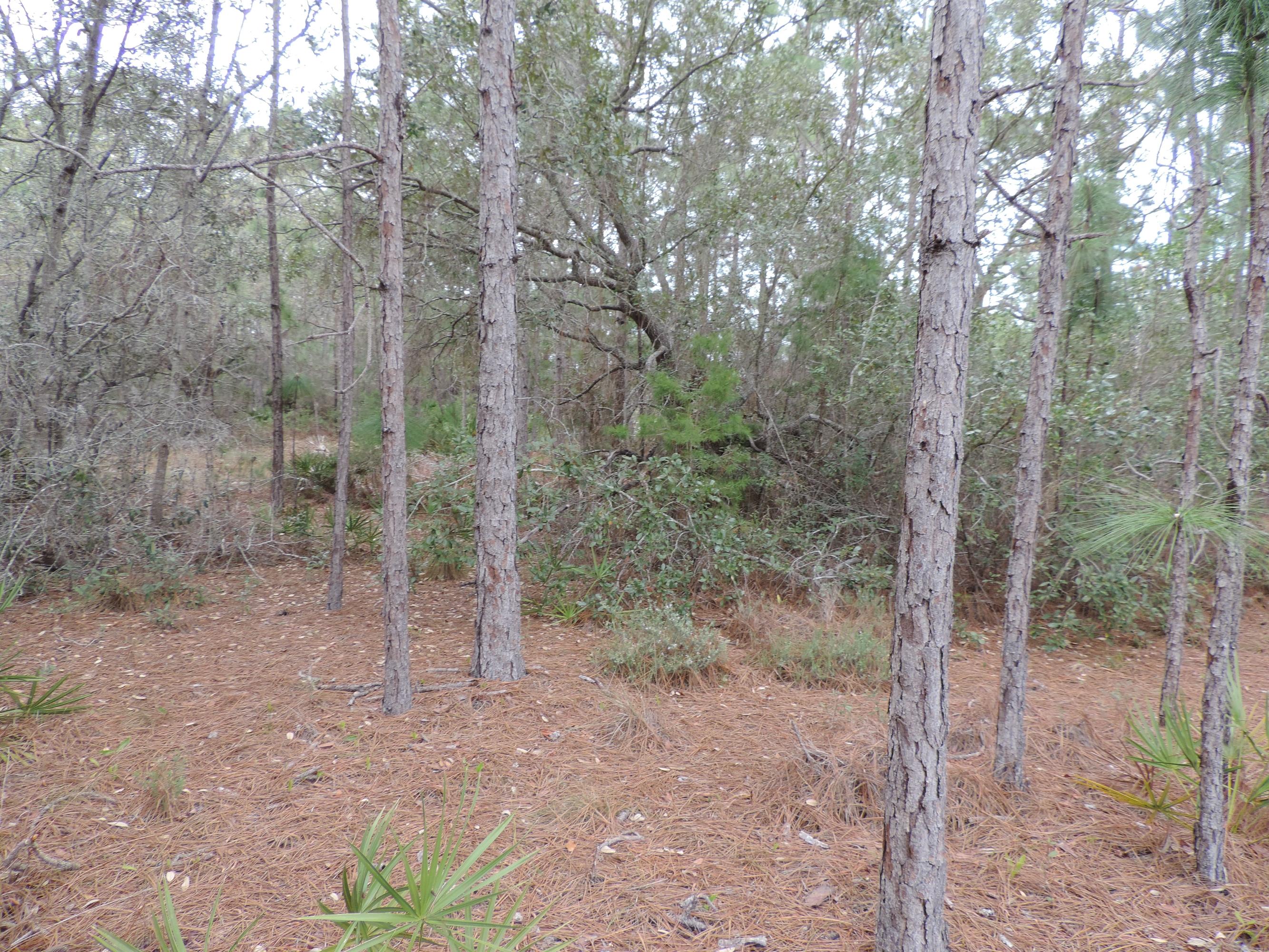 HOLLEY BY THE SEA - Land