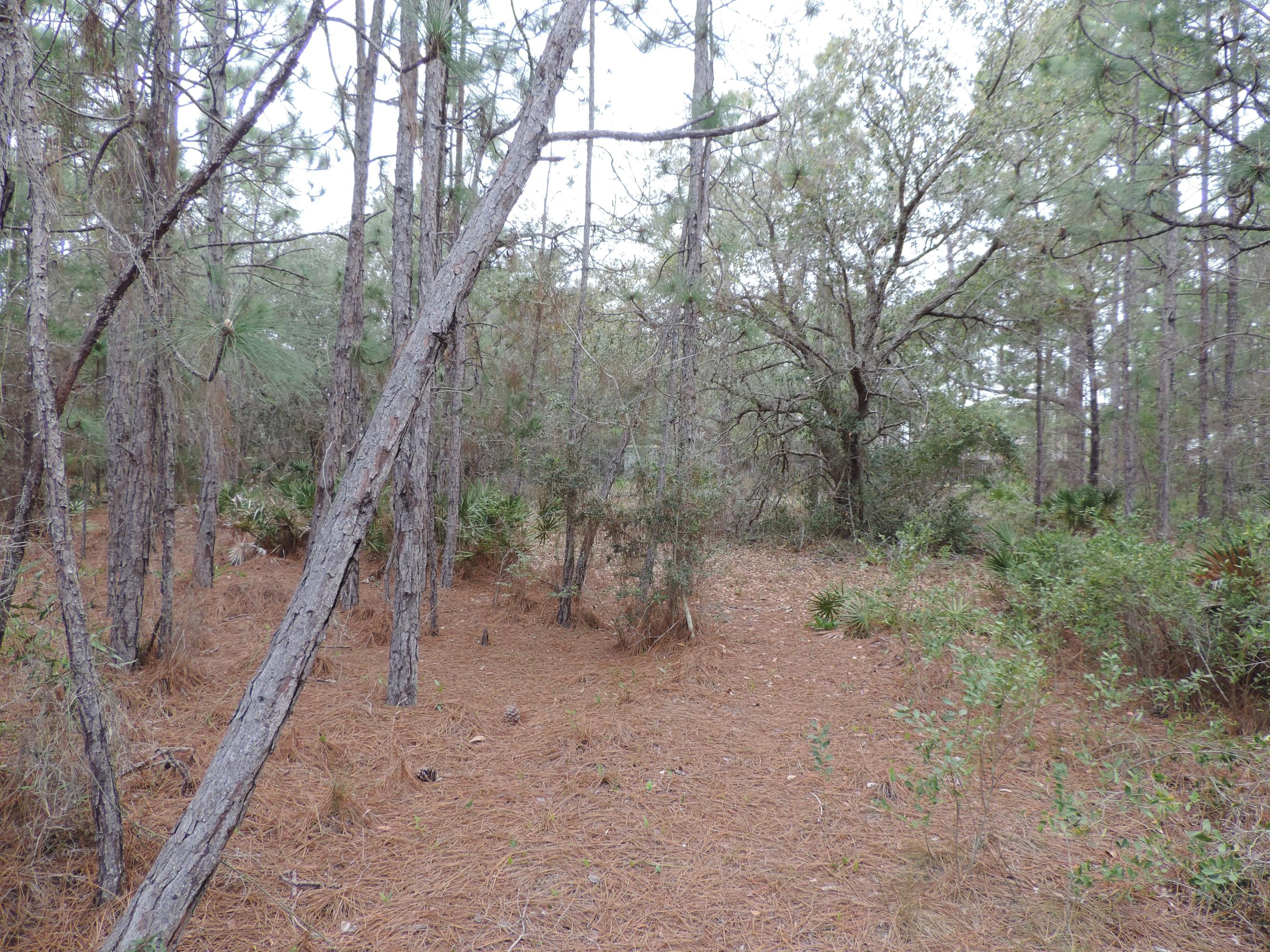 HOLLEY BY THE SEA - Land