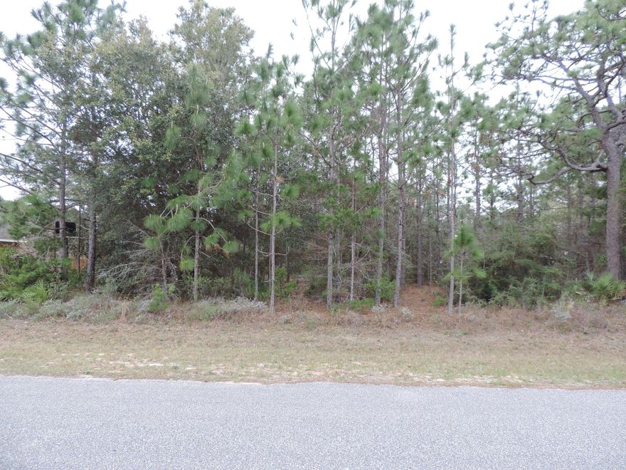 The perfect location for your new home, level, lightly wooded lot located in the Holley By The Sea area. Besides such a convenient location to both Pensacola and Fort Walton the Gulf Beaches are minutes away. Additionally enjoy the benefits of the Holley By The Sea community center with pools, tennis courts, exercise facility. The adjacent lot is also for sale too. Perfect to give you plenty of privacy