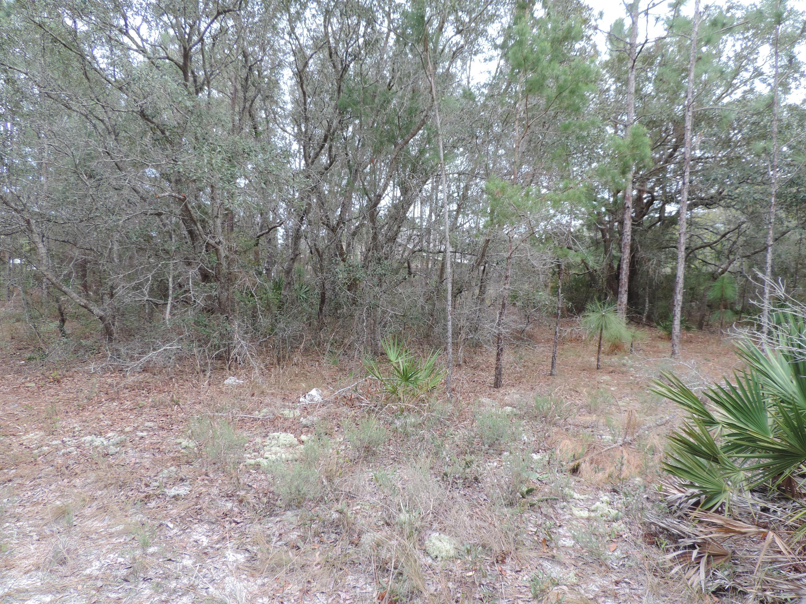 HOLLEY BY THE SEA - Land