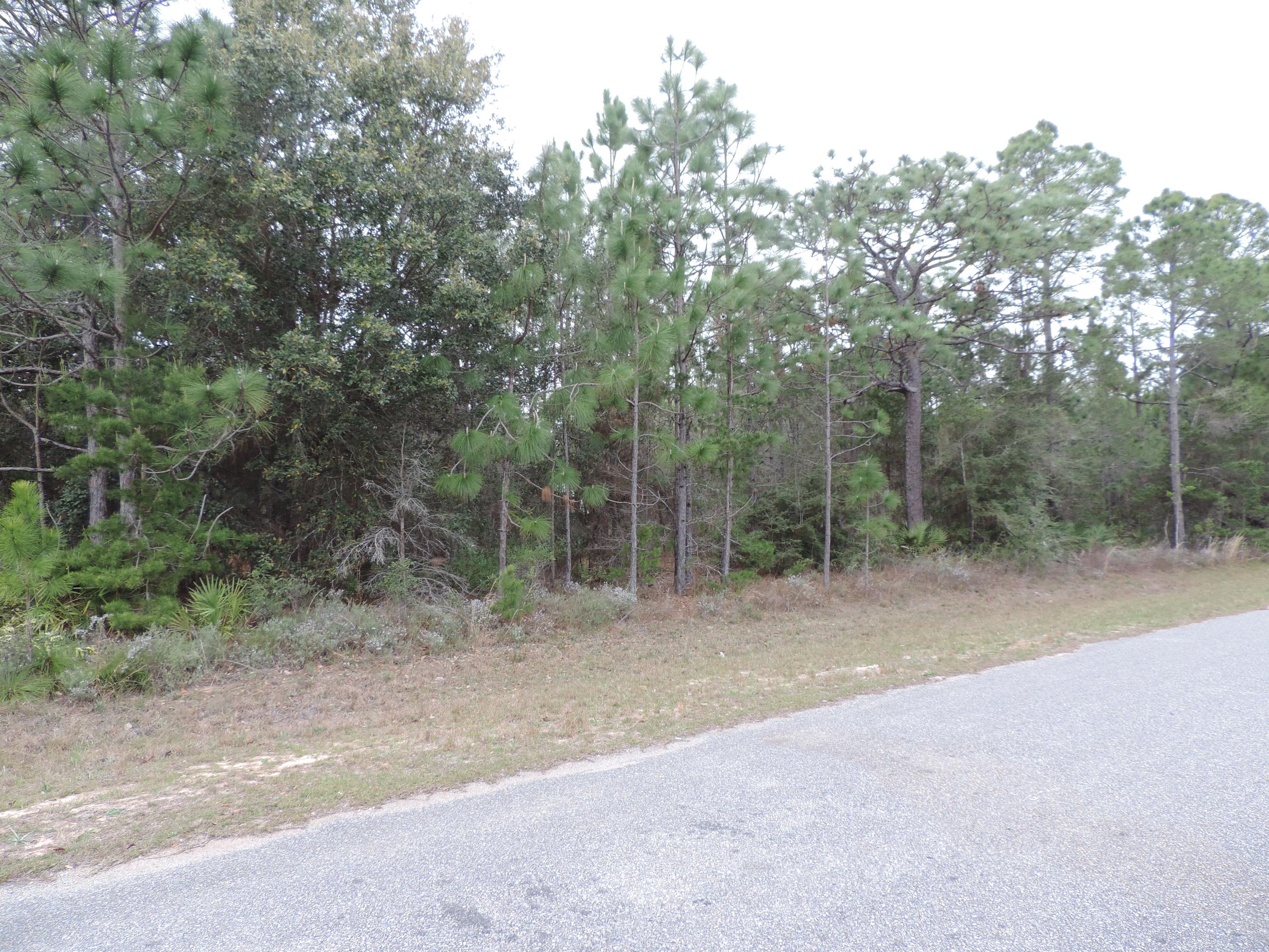 HOLLEY BY THE SEA - Land