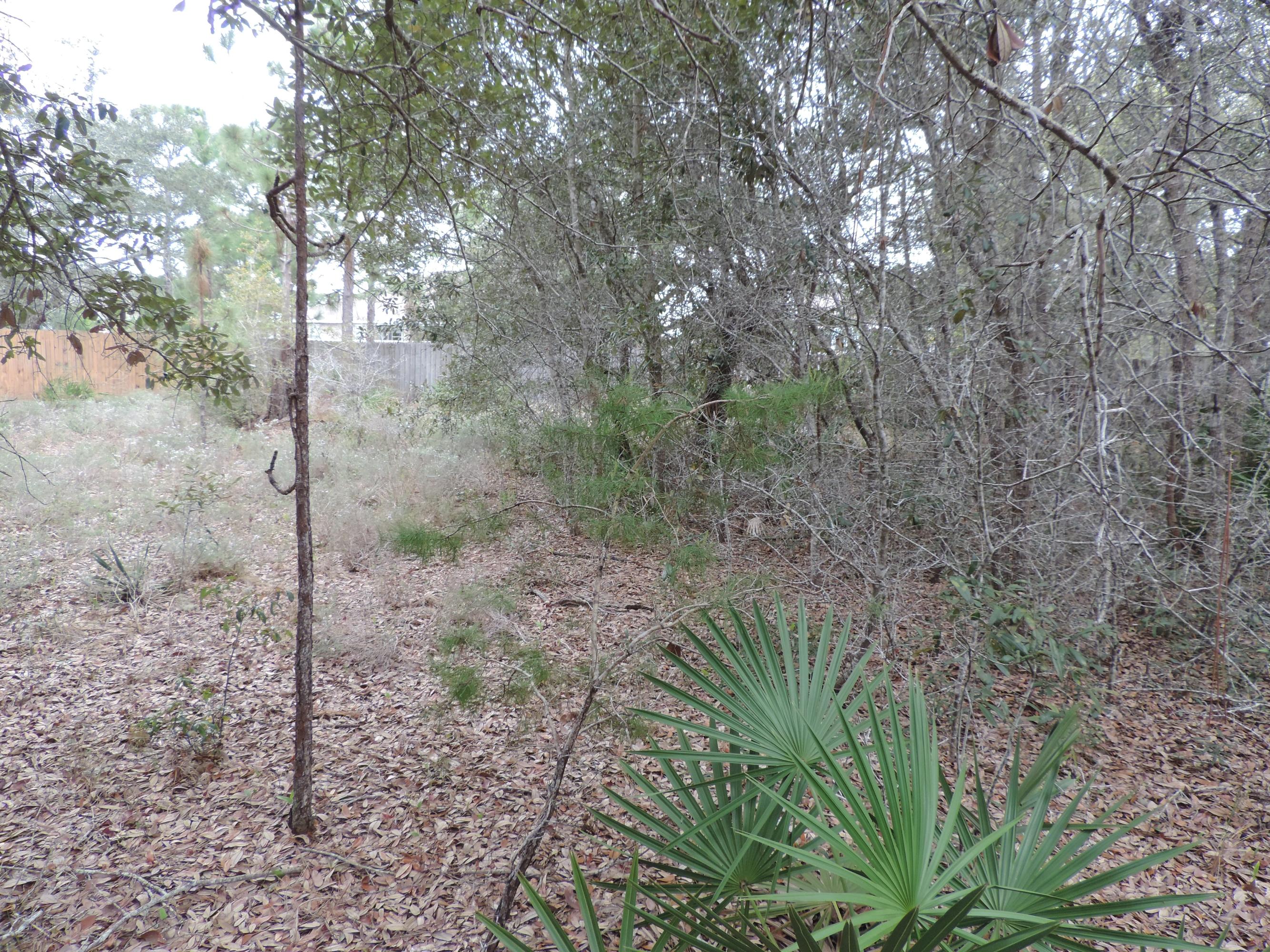 HOLLEY BY THE SEA - Land