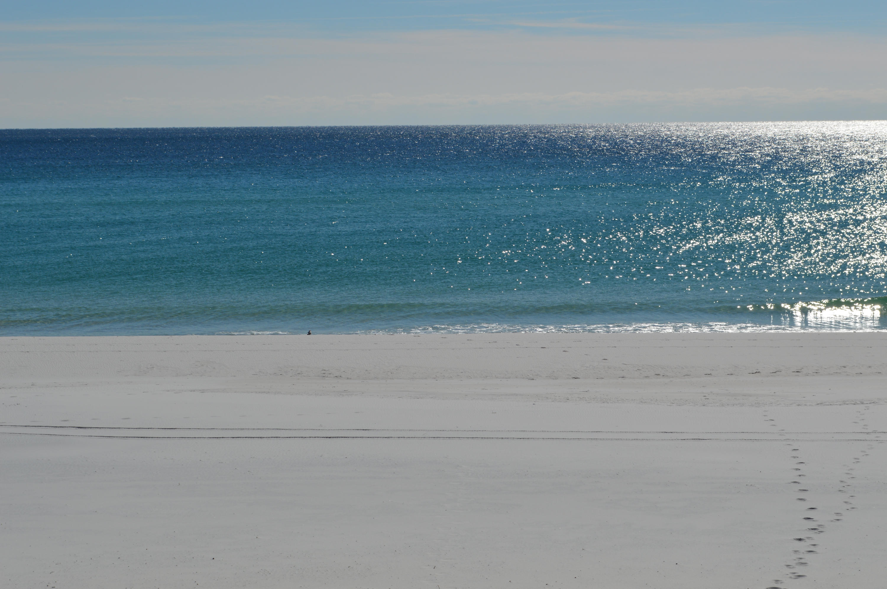 SEACOVE CONDO - Residential