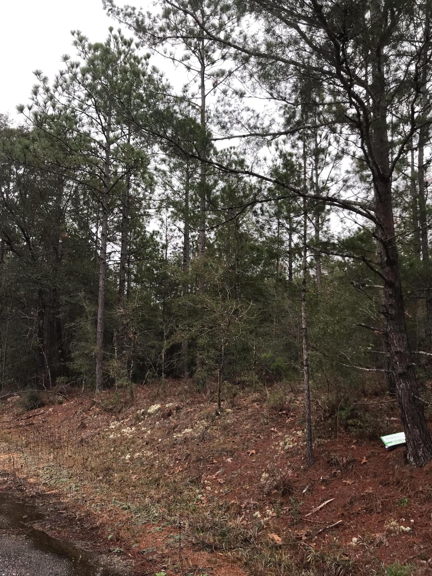 OAKWOOD HILLS UNIT 1 - Land