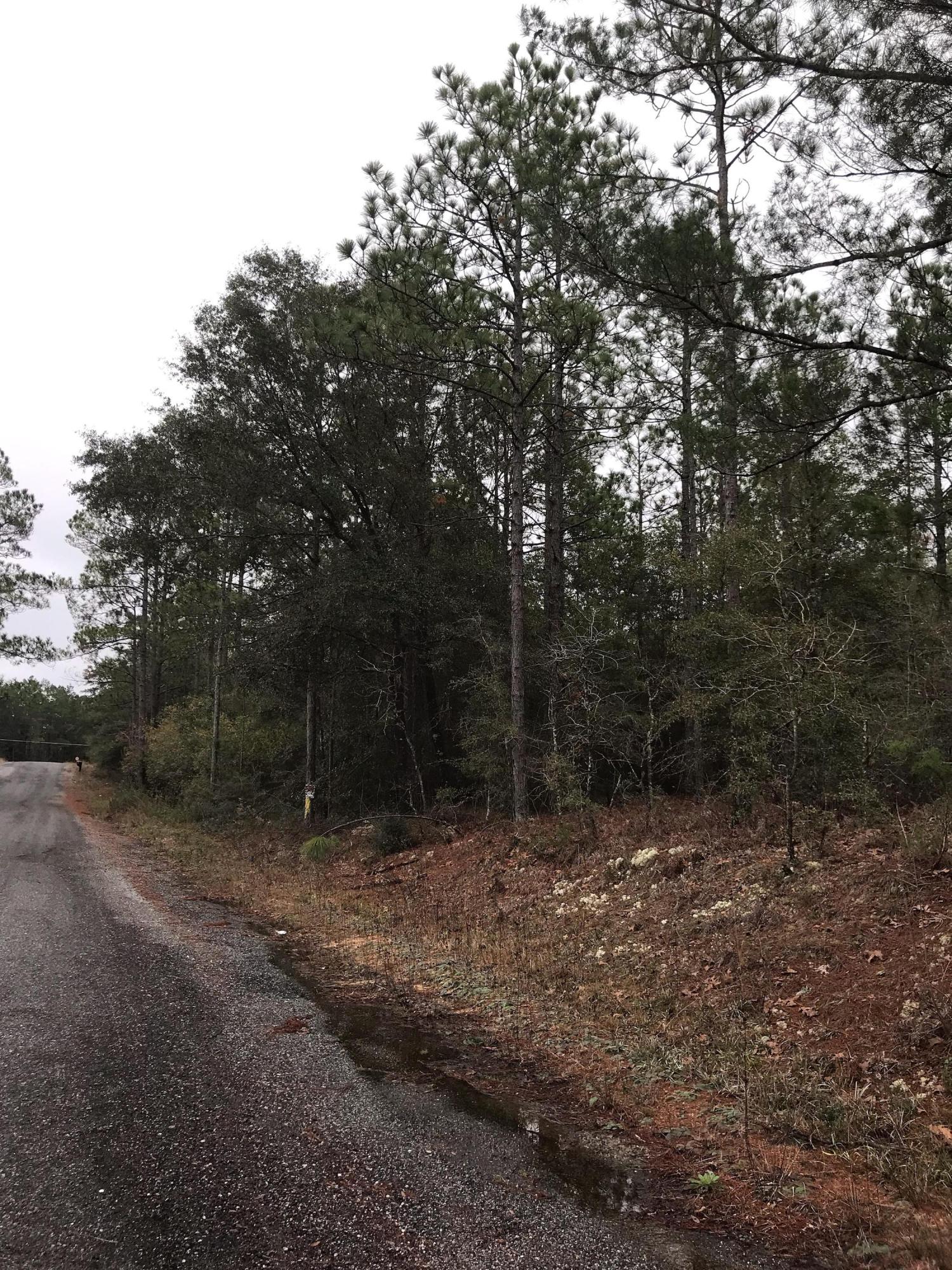 OAKWOOD HILLS UNIT 1 - Land