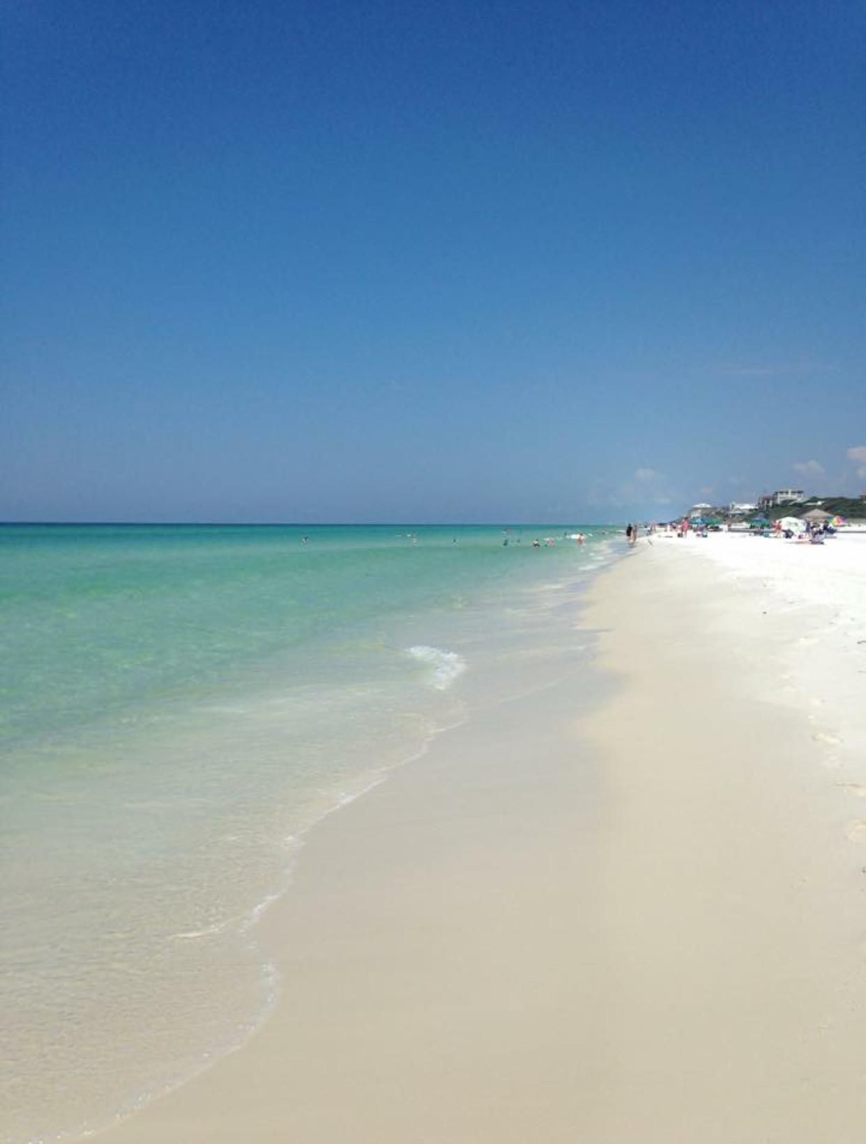 THE PRESERVE AT GRAYTON BEACH - Land