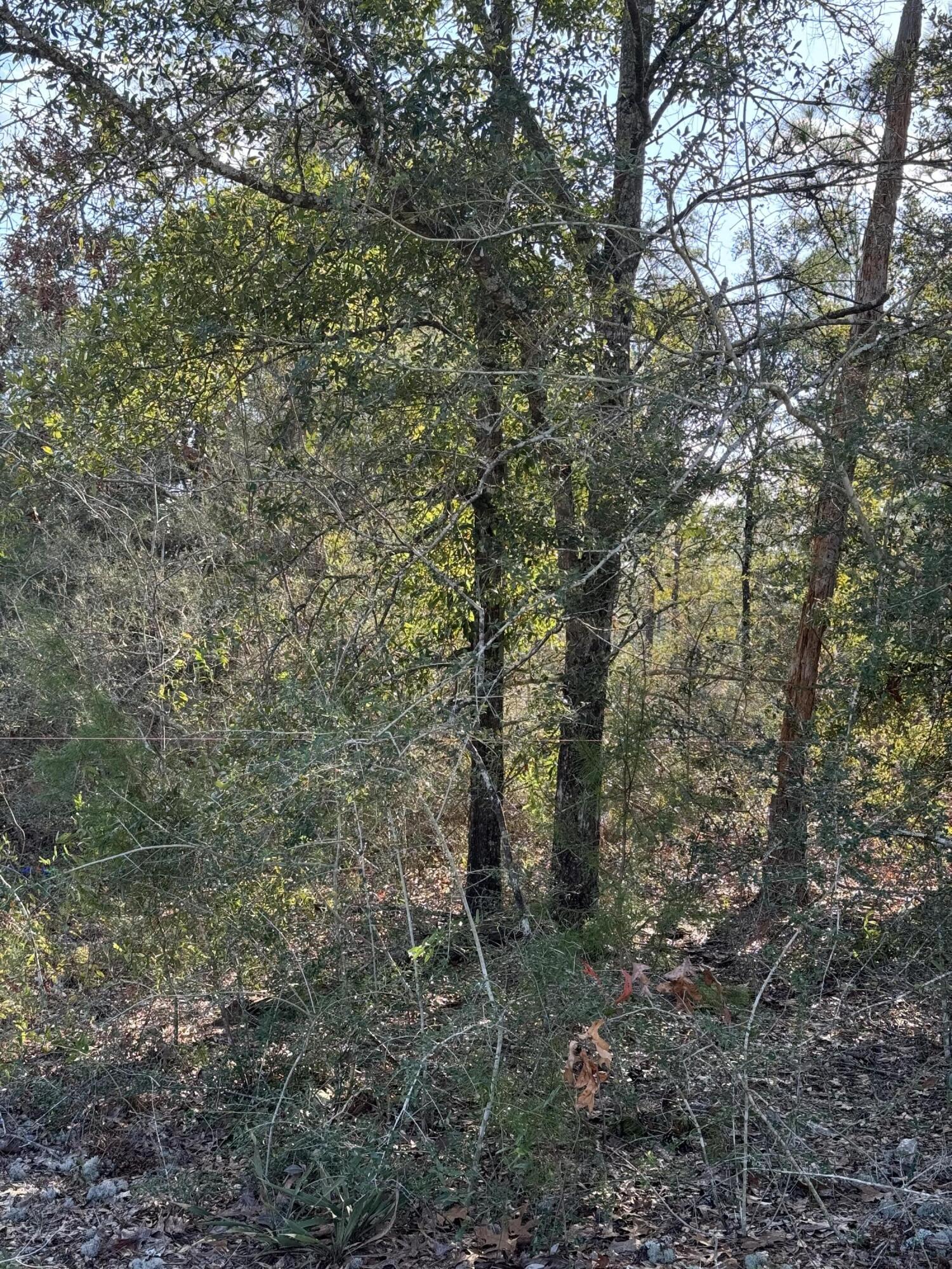 Imagine building your dream home on a 0.212-acre lot, located on the paved Girl Scout Road, offering easy access to both DeFuniak Springs and Crestview, Florida.This property is a nature lover's paradise, enveloped by lush woods and towering trees. It's situated near the charming town of DeFuniak Springs, renowned for its unique, nearly perfectly round lake.Craving for a beach day? The pristine, white-sand beaches of Destin Resort are just a short drive away.The lot is elevated on a gentle hill, providing a high and dry location that doesn't require flood insurance. It's ready for construction with a water meter in place and an electric pole at the property corner.This beautiful lot is waiting for you to transform it into your dream haven. Act now!