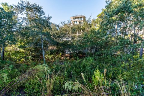 A home in Santa Rosa Beach