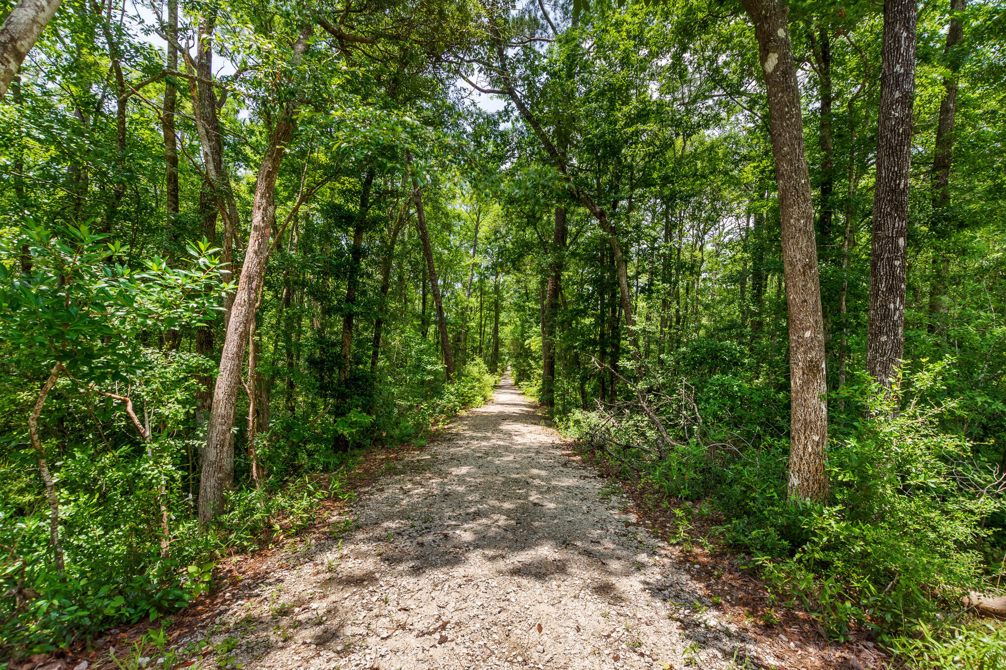 Lafayette Creek - Residential Lease