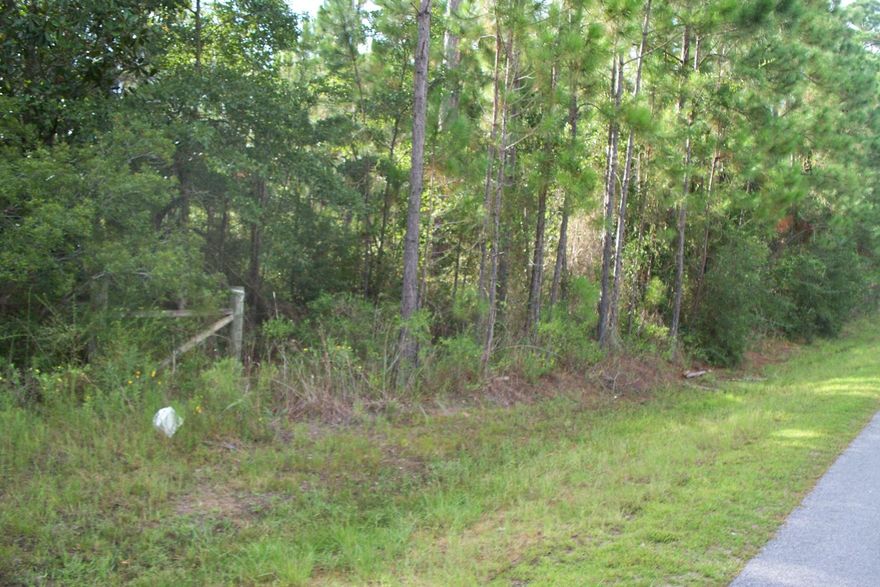 Wooded lot to build your dream home located by Hogtown Bayou off of Choctawhatchee Bay in Santa Rosa Beach, FL! Santa Rosa Beach was recently named as one of Travel + Leisure's Top 5 Favorite Towns in America! This parcel is near Charles Cessna Landing Boat Ramp featuring a Children's Park, Boat launch, fishing dock, picnic tables, and gazebos. You are minutes away from the beautiful white sandy beaches of South Walton, shopping, banking, schools, and more. All measurements to be verified by buyer.