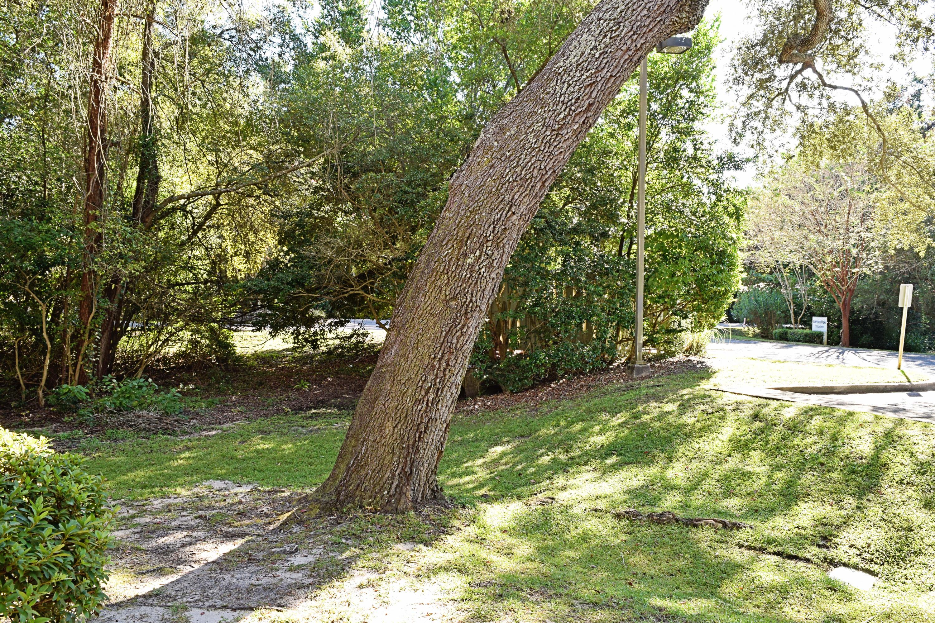 GARDEN OAKS CONDO - Residential