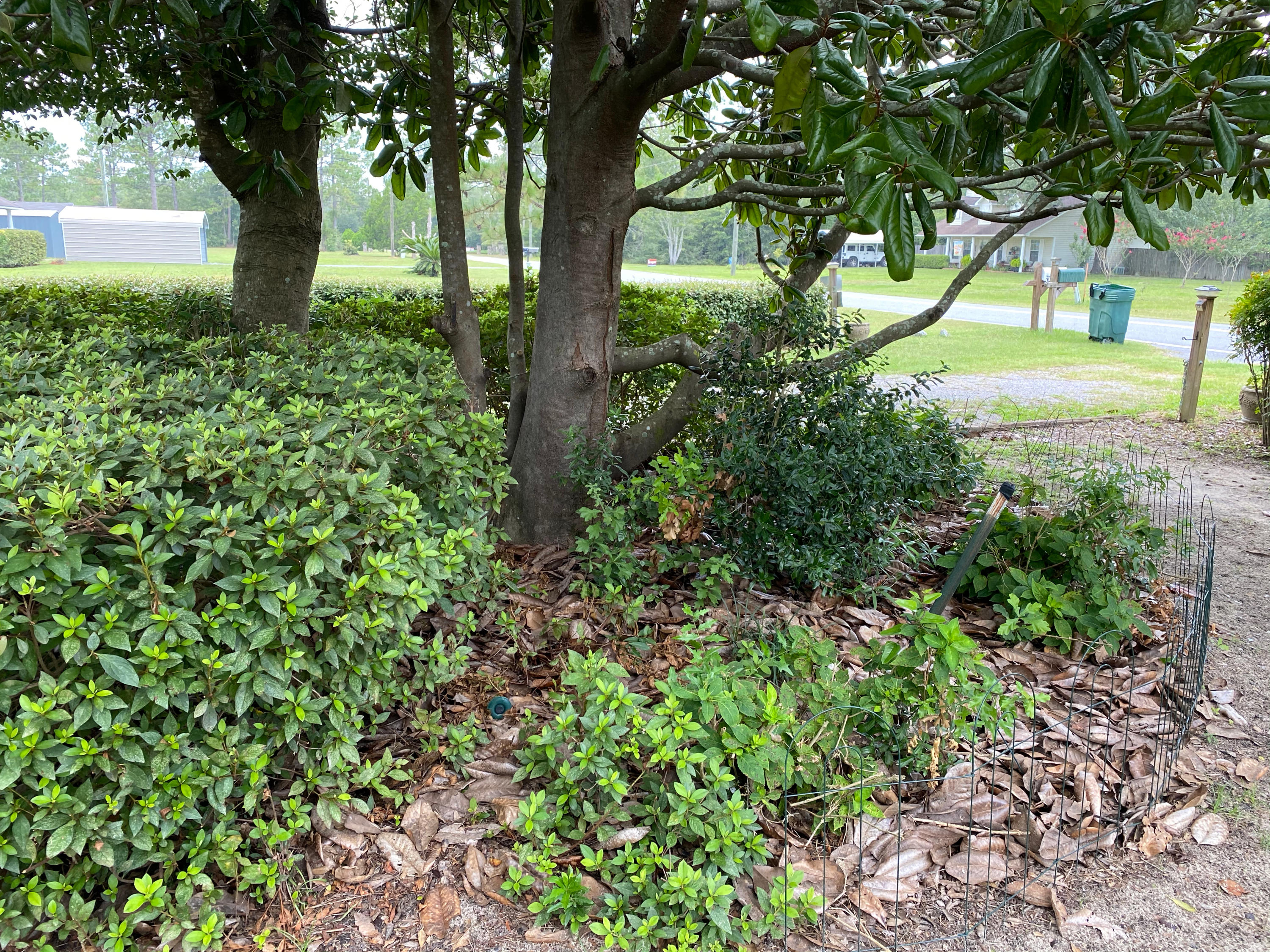 ST GREGORY'S LAKESIDE VILLAGE - Residential