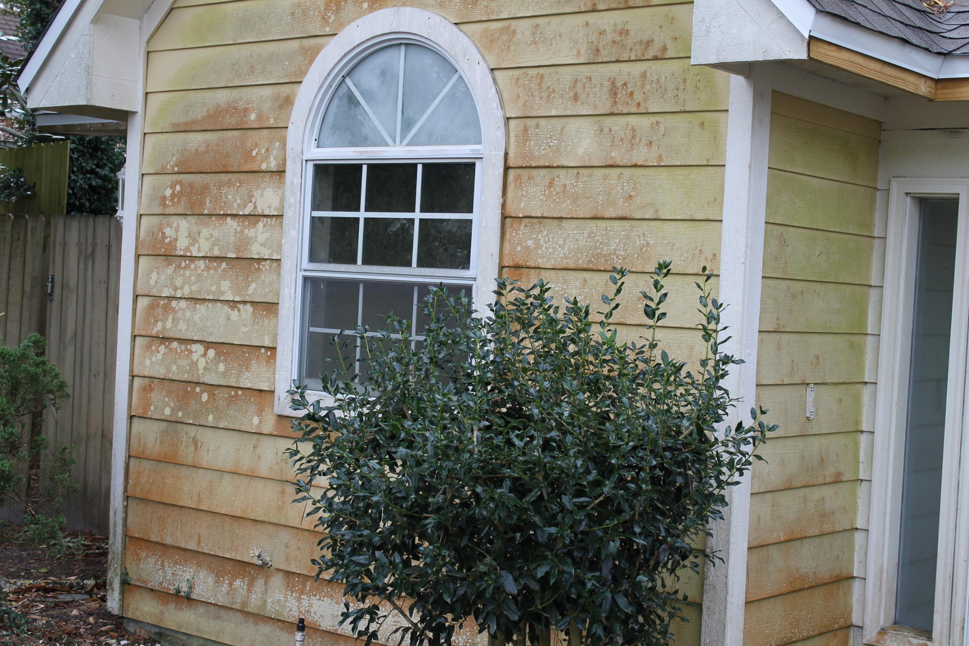 MAGNOLIA CREEK PHASE 1 - Residential