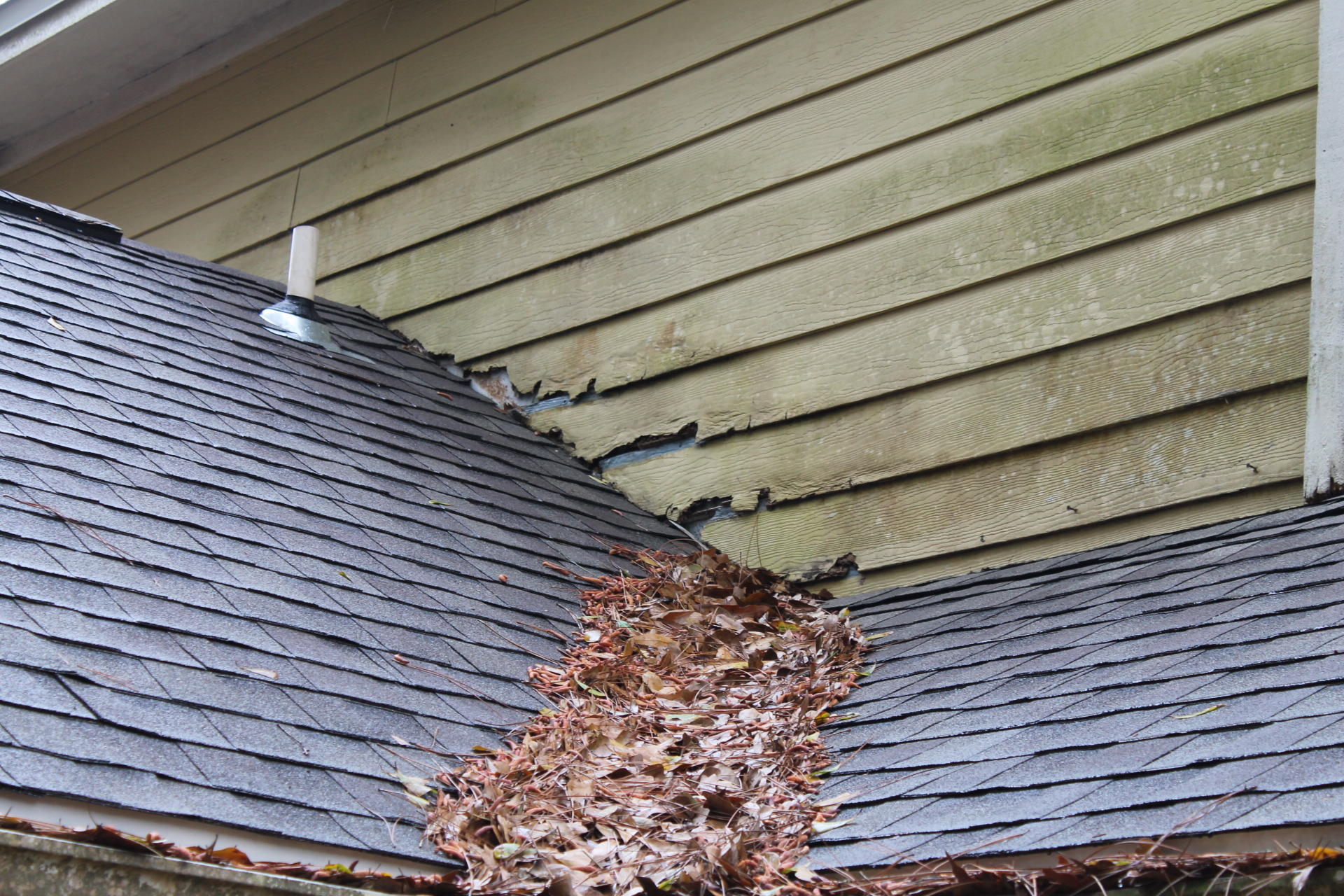 MAGNOLIA CREEK PHASE 1 - Residential