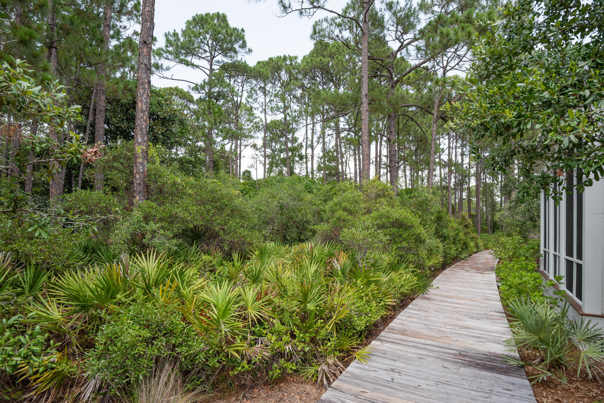 WATERSOUND WEST BEACH - Residential